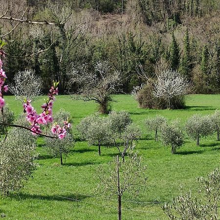 San Pietro Vara Lissahouse Agriturismo מראה חיצוני תמונה