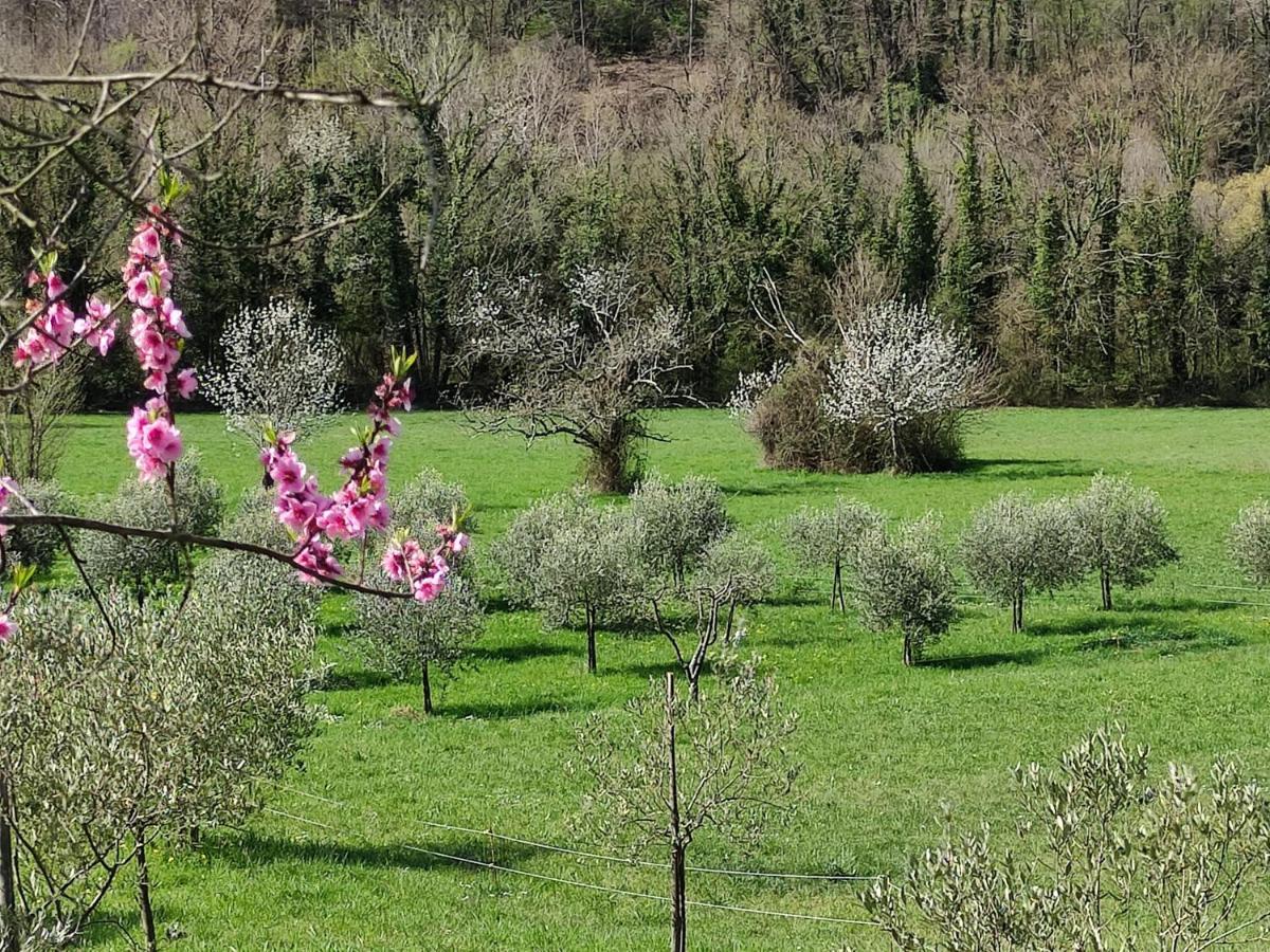 San Pietro Vara Lissahouse Agriturismo מראה חיצוני תמונה